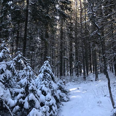 Kungsbergetnatur Jarbo Ngoại thất bức ảnh